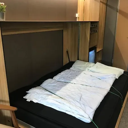 卡洛维格中心酒店
